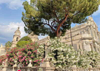 Blick auf eine Heiligenstatue vor der Kathedrale von Catania. Die Statue ist dicht eingehüllt von blühenden Büschen, darüber erhebt sich eine ausladende Kiefer, im Hintergrund ist die Kathedrale zu sehen.