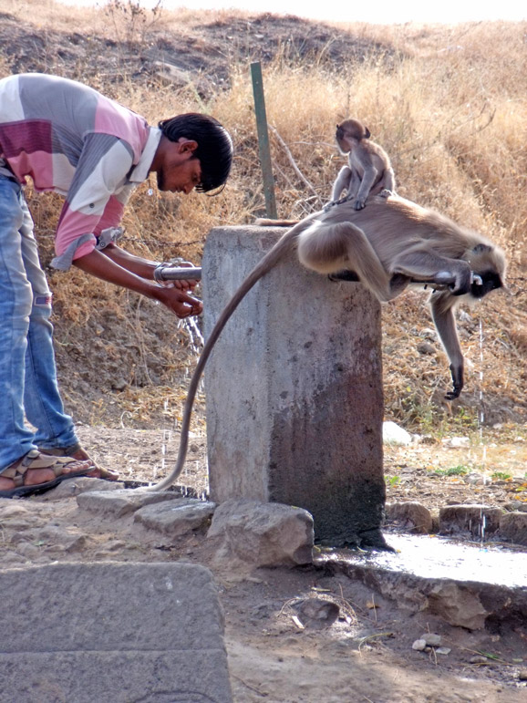 Ein Mann schöpft Wasser an einem Brunnen, während ein Affe mit Baby ebenfalls daraus trinkt.