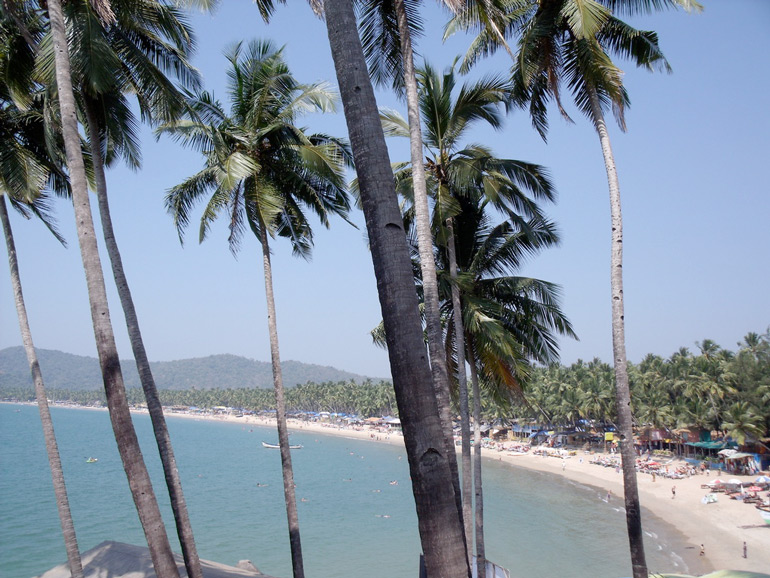Palmenblick auf den langen Sandstrand und das türkisblaue Meer von Palolem Beach in Goa.